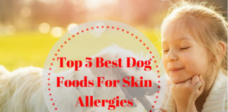 Best Dog Foods For Skin Allergies