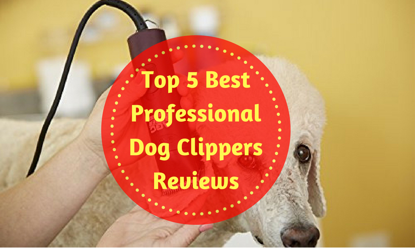 best professional dog clippers