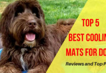 Best Cooling Mats for Dogs