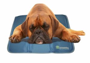 best cooling mats for dogs