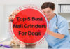 Best Nail Grinders For Dogs