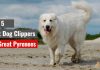 Best Dog Clippers for Great Pyrenees