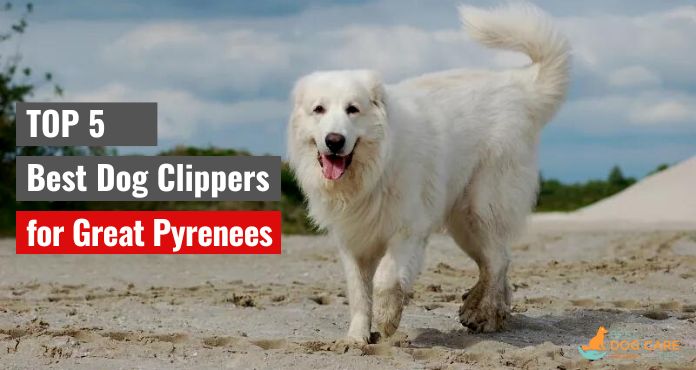 Best Dog Clippers for Great Pyrenees