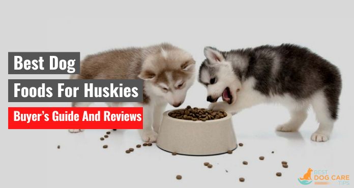 Best Dog Foods For Huskies