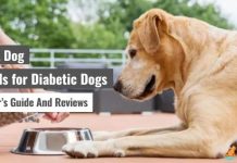 Best Dog Foods for Diabetic Dogs