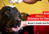 Best Dog Shampoo for Dandruff