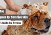 Best Dog Shampoo for Sensitive Skin