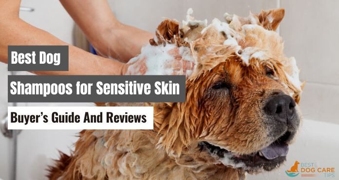 Best Dog Shampoo for Sensitive Skin